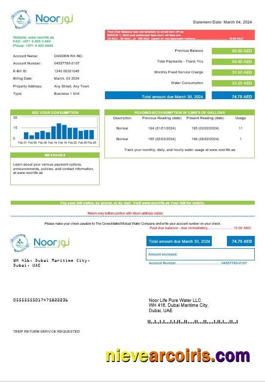 UAE Noor Life Pure Water LLC business utility bill